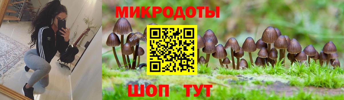 Рассказово  Псилоцибиновые грибы мухоморы  Вход с VPN 